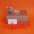 Luxury Cadbury chocolate gift boxes delivered, Cadbury Caramel Nibbles, Cadbury Twirl chocolate gifts UK, Cadburys chocolate pamper gifts